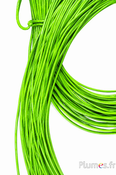 Laccio in cuoio - spessore 2 mm - lime
